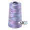 Berrylicious - Variegated (4647) | 28wt Cone (3300M / 3609Y) | Aurifil Thread
